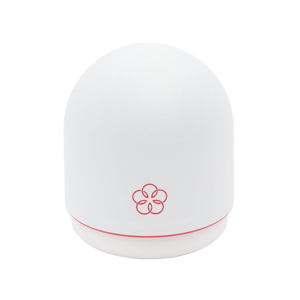 iroha Temari HANA Vibrator - Babaam