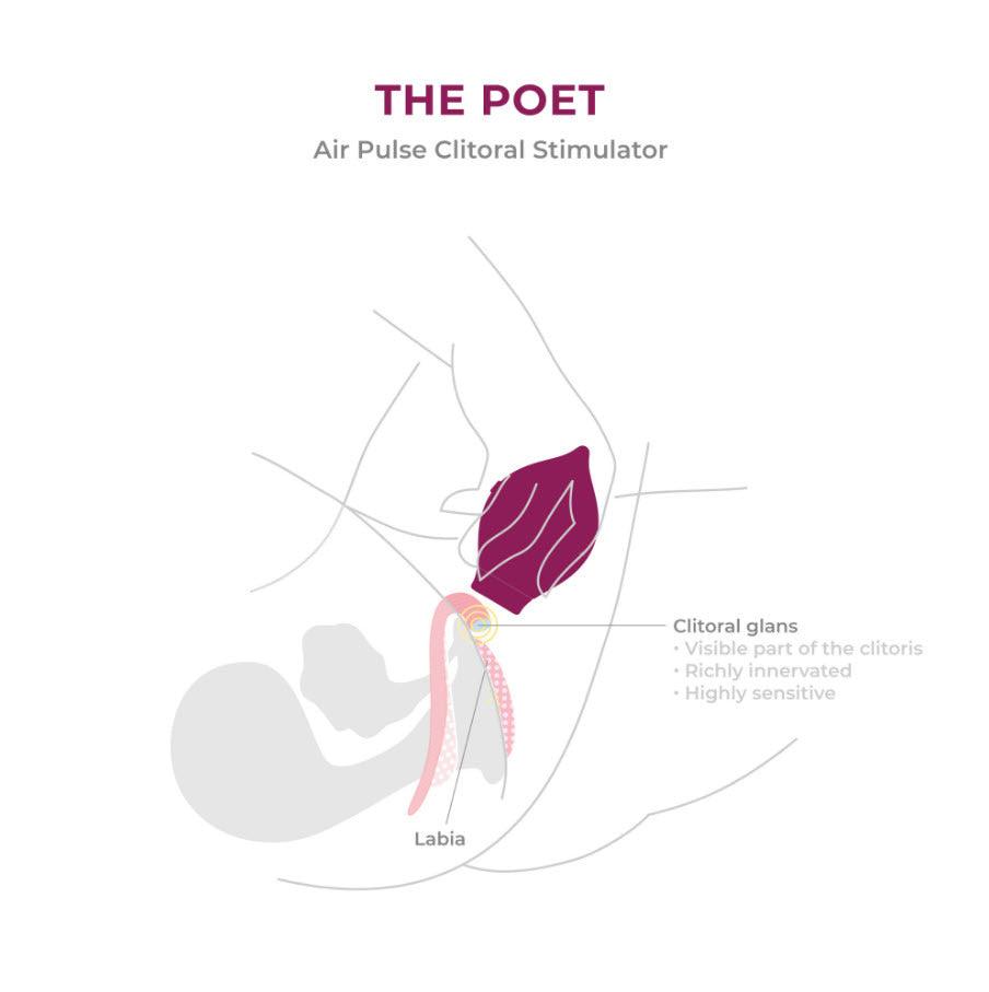 The Poet - Babaam